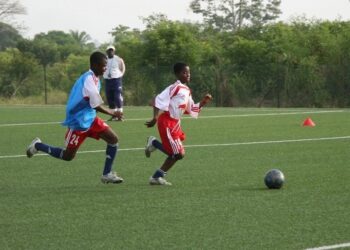 GFA Exco member Anim-Addo wants support for Juvenile league