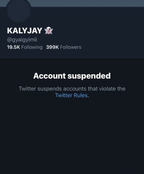 Twitter suspends account of #FixTheCountry ‘convener’