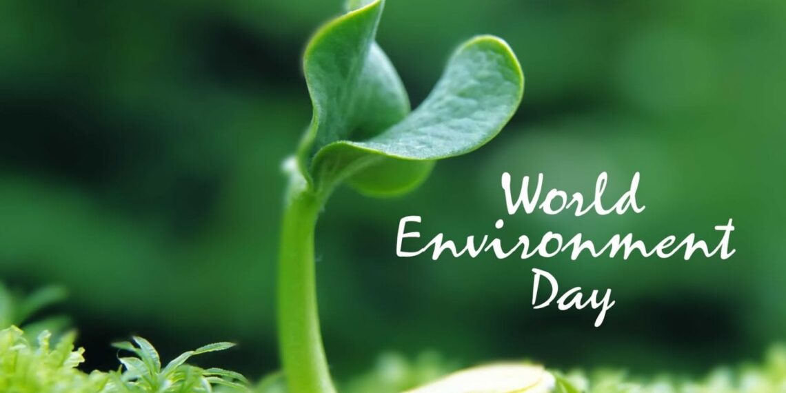 World Environment Day: Prof. Edward D.Wiafe writes “Restoring Ecosystems”