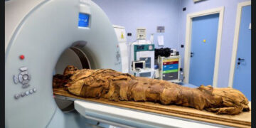 Photos: Egyptian mummy undergoes a CT scan