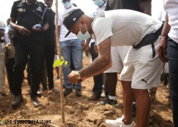Black Stars join Green Ghana project