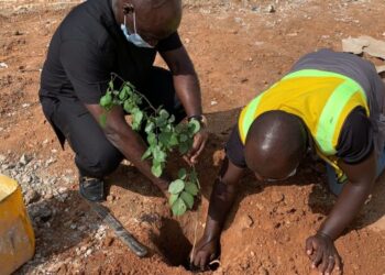 Think twice before cutting down Trees – Ambassador Boateng counsels