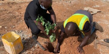 Think twice before cutting down Trees – Ambassador Boateng counsels