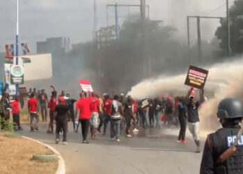 #FixTheCountry: The biggest demonstration in Africa is about to happen - Convener