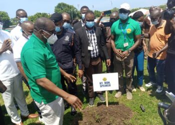 Green Ghana Project: Initiative a special opportunity to recover our forests - Speaker Bagbin