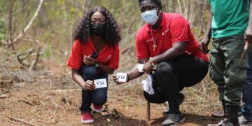 Vodafone Ghana plants 4,000 trees throughout the month of June