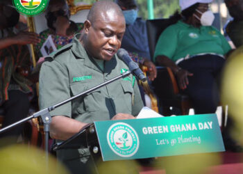 Green Ghana Project: Ghana replants 30,000 hectares of destroyed forest annually - Forestry Commission