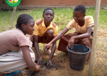 Green Ghana Project: Planting 5 million trees in a day achievable - Ghanaians told
