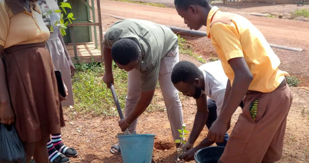 Green Ghana Project: Over 7 million seedlings distributed