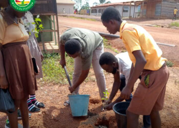 Green Ghana Project: Over 7 million seedlings distributed