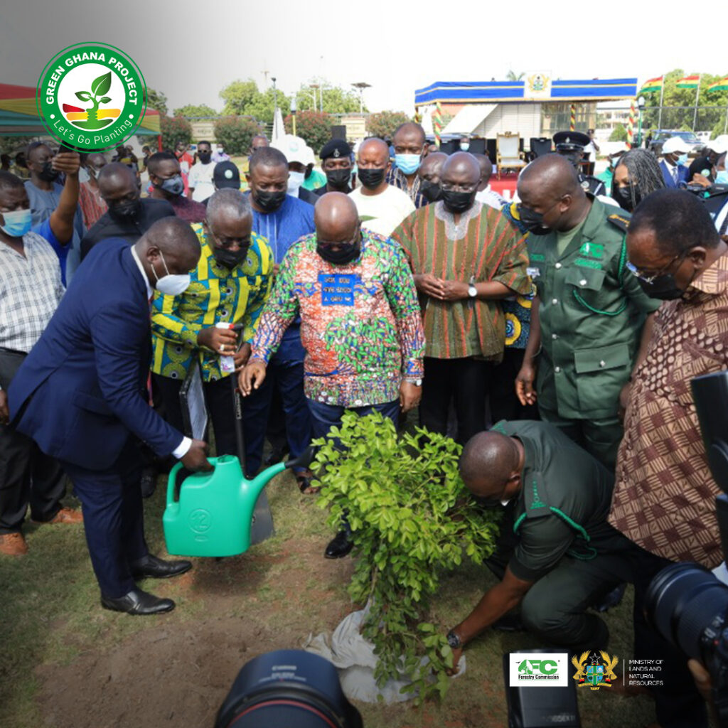 Green Ghana Project: Use same energy to protect existing trees - Minority