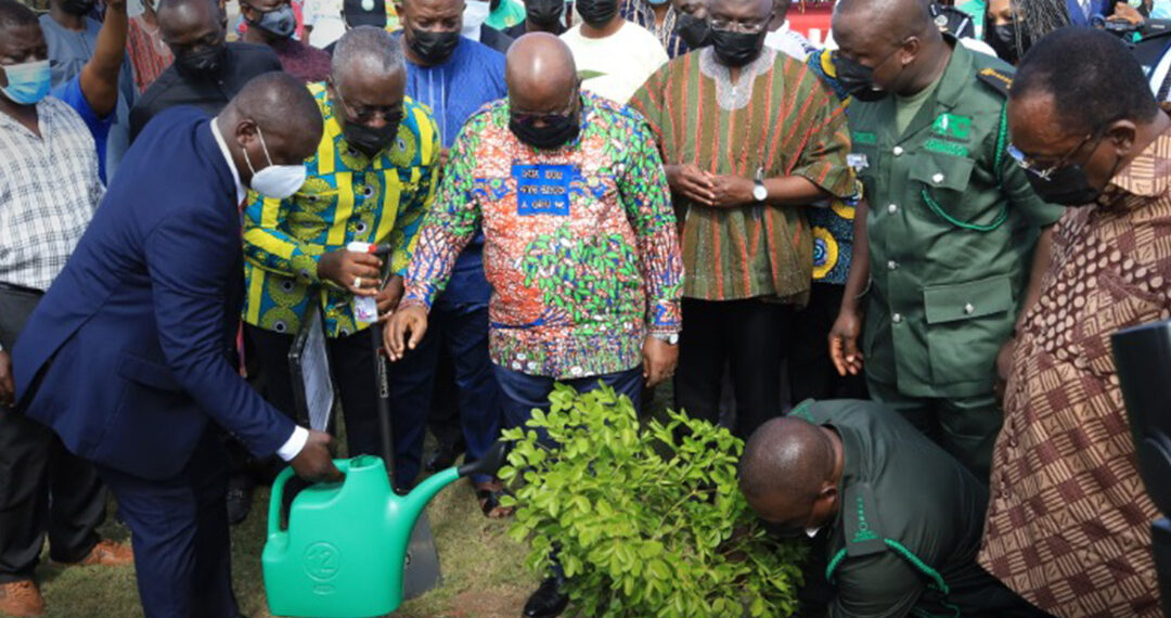 Green Ghana Project: Use same energy to protect existing trees - Minority