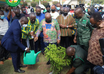Green Ghana Project: Use same energy to protect existing trees - Minority