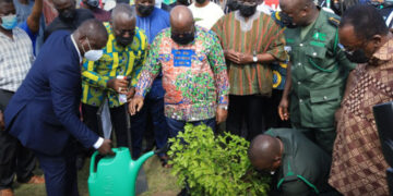 Green Ghana Project: Use same energy to protect existing trees - Minority
