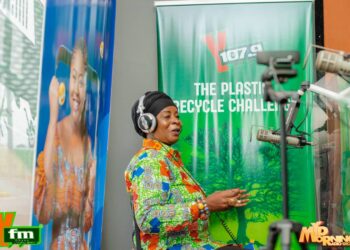 Don’t put your trust in so-called travel visa processors- Nana Adwoa Awindor to Ghanaians