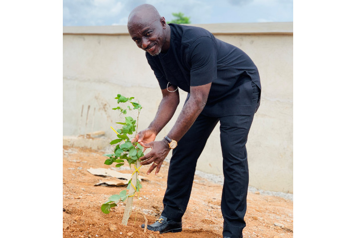 Think twice before cutting down Trees - Ambassador Boateng counsels