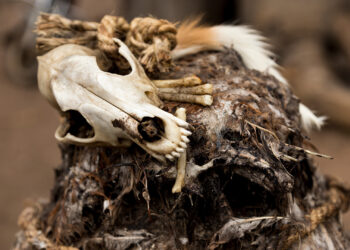 Have reasons for performing sacrifices – Dr Kwaku Sarbah advises