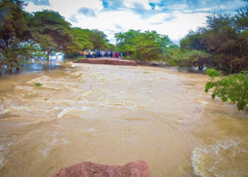Upper West Floods: Nadowli-Kaleo calls on public for relief items