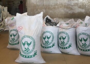 Poultry farmers proposed solution to Agric Ministry over shortage