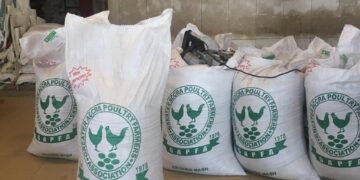 Poultry farmers proposed solution to Agric Ministry over shortage