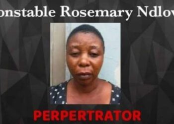 Policewoman hires hitmen to kill family; claims insurance money