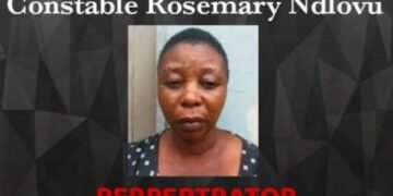 Policewoman hires hitmen to kill family; claims insurance money