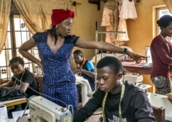 NPP has created an entrepreneurial eco-system – YEA Research Analyst