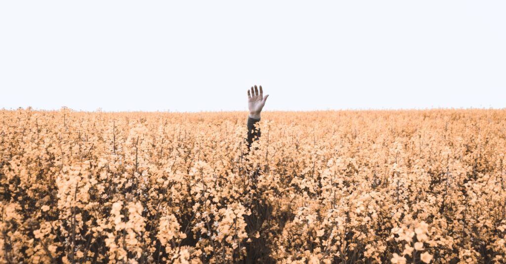 Whatever you sow you will reap - Man of God advises
