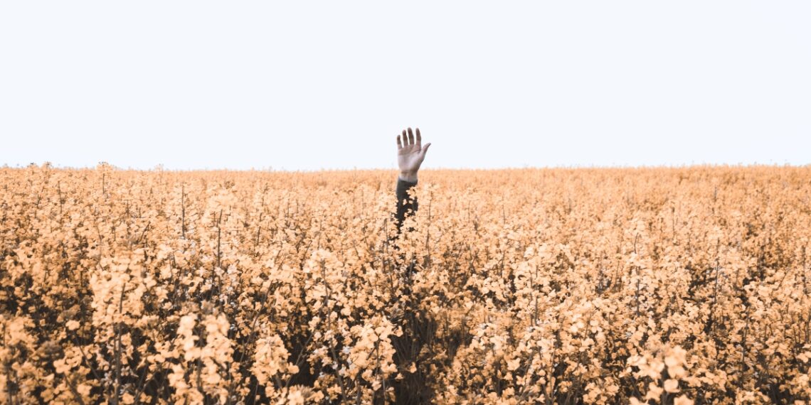 Whatever you sow you will reap - Man of God advises