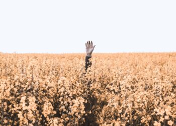 Whatever you sow you will reap - Man of God advises
