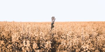 Whatever you sow you will reap - Man of God advises