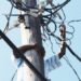 Illegal connections cost us 38 percent in revenue – NEDCo