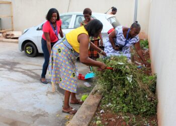 ‘Operation Clean Your Frontage’ can only be successful if… – Editor