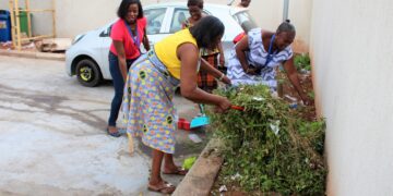 ‘Operation Clean Your Frontage’ can only be successful if… – Editor
