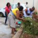 ‘Operation Clean Your Frontage’ can only be successful if… – Editor