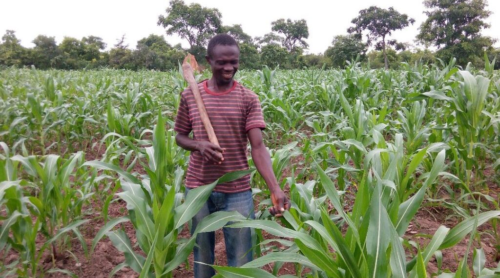 You can make millions from agriculture – Pius Hadzide encourages youth