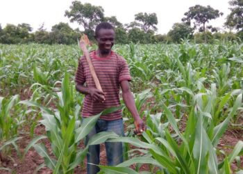 You can make millions from agriculture – Pius Hadzide encourages youth