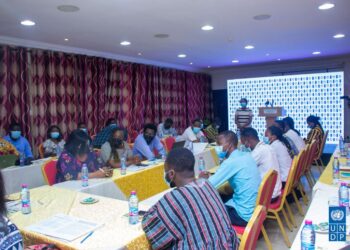 UNDP holds strategic communication training for 30 MSME
