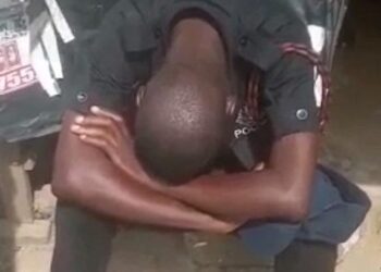 Drunk police officer in viral video interdicted, psychologist help