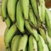 Prophet shares the benefit of Plantain to men