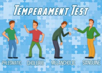 Find out number of temperaments one can have