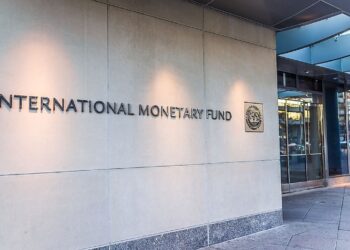 ‘IMF is like ‘anti-malarial drug’ and we won’t taste it again’ – Custodian Editor