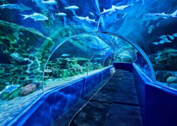 Prophet Gabriel Twumasi shares the mystery behind the marine kingdom