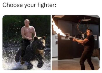 Putin can bring his bear, says Elon Musk in fresh challenge for a fight