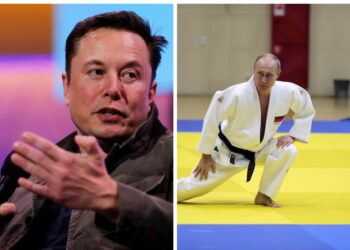 Elon Musk challenges Vladimir Putin to a fight