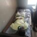Photos: Scores of pupils injured in train accident at New Takoradi