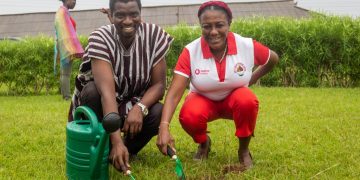 Vodafone Ghana partners Otumfuo Foundation to plant trees