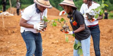 Responsib’all Day: Pernod Ricard Ghana restores degraded mined land, plants 2,400 trees