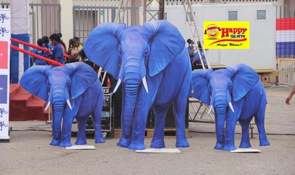 NPP Polls: Vetting results out, 47 aspirants to contest for ten positions