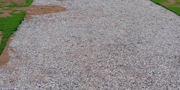 Man who stole astroturf to decorate his room jailed 7 years